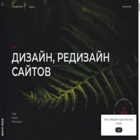 Скриншот главной страницы сайта maya-web.ru