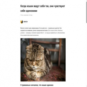 Скриншот главной страницы сайта mcskur.ru