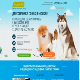 Скриншот главной страницы сайта mdog.ru