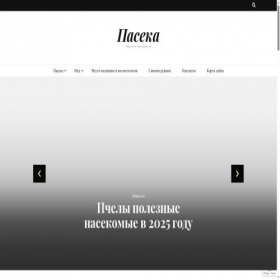 Скриншот главной страницы сайта medapaseka.ru