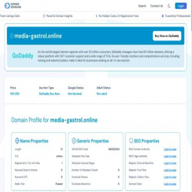 Скриншот главной страницы сайта media-gastrol.online