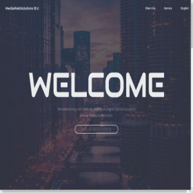 Скриншот главной страницы сайта mediawebsolutionsbv.com