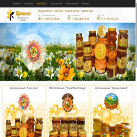 Скриншот главной страницы сайта medock.com