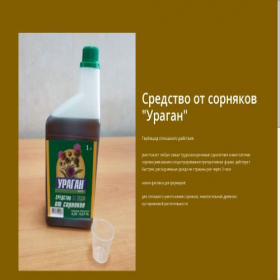 Скриншот главной страницы сайта medsarma.ru