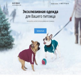 Скриншот главной страницы сайта meeralt.com