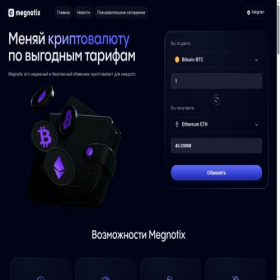 Скриншот главной страницы сайта megnotix.com