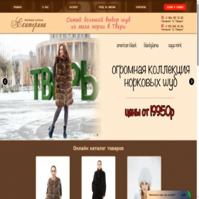 Скриншот главной страницы сайта meh-ekaterina.ru