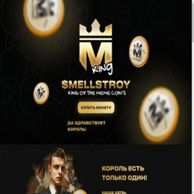 Скриншот главной страницы сайта mellstroy-eth.com