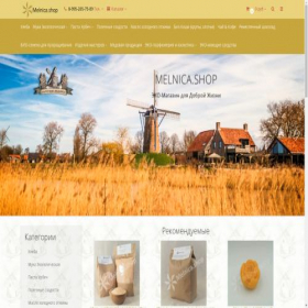 Скриншот главной страницы сайта melnica.shop