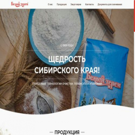 Скриншот главной страницы сайта melnitsa-omsk.ru
