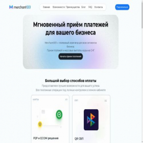 Скриншот главной страницы сайта merchant001.cash