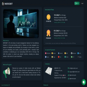 Скриншот главной страницы сайта merobit.com