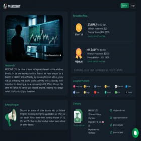 Скриншот главной страницы сайта merobit.net