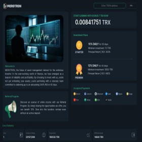 Скриншот главной страницы сайта merotron.net