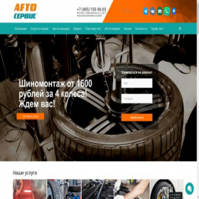 Скриншот главной страницы сайта meta-trueservice.ru