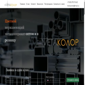 Скриншот главной страницы сайта metacolor-nsk.ru