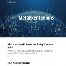 Скриншот главной страницы сайта metaexetions.com