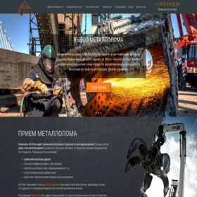 Скриншот главной страницы сайта metall-priem-saransk.ru