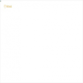 Скриншот главной страницы сайта metallicaholdings.com
