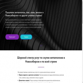Скриншот главной страницы сайта metallpriyom.ru