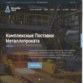 Скриншот главной страницы сайта metallprogroup.ru