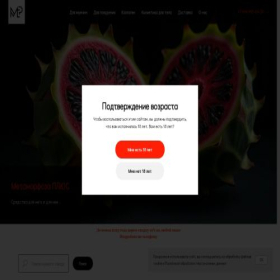 Скриншот главной страницы сайта metamorfosaplus.ru