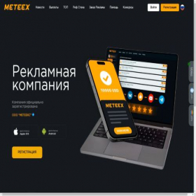 Скриншот главной страницы сайта meteex.com