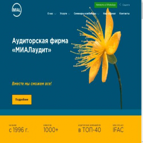 Скриншот главной страницы сайта mialaudit.ru