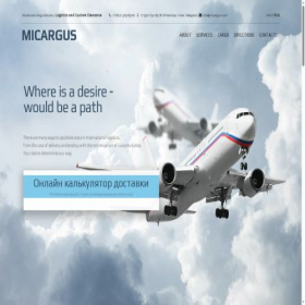 Скриншот главной страницы сайта micargus.com