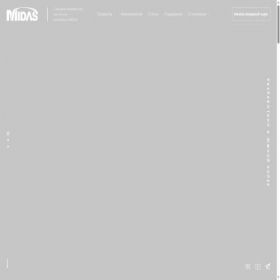 Скриншот главной страницы сайта midasoft.ru