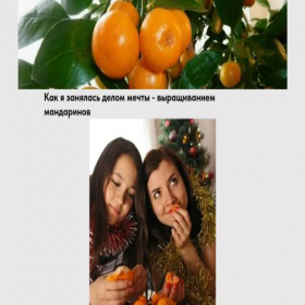 Скриншот главной страницы сайта mindermandariki.tilda.ws