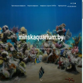 Скриншот главной страницы сайта minskaquarium.by