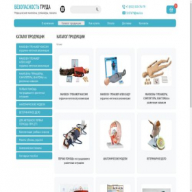 Скриншот главной страницы сайта mir-spb.com