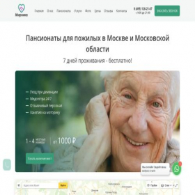 Скриншот главной страницы сайта mirnika.ru