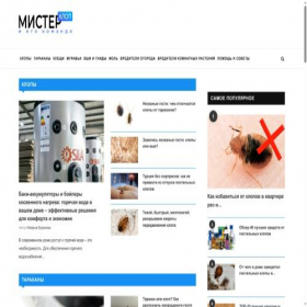 Скриншот главной страницы сайта misterklop.ru