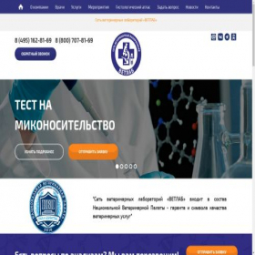 Скриншот главной страницы сайта mitrokhina.ru
