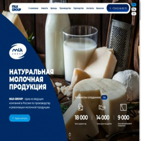Скриншот главной страницы сайта mlkgroup.ru