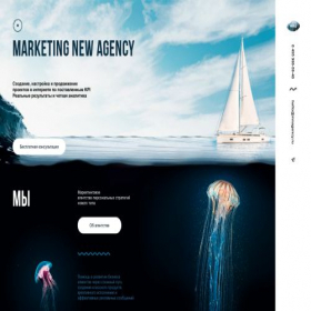 Скриншот главной страницы сайта mn-agency.ru
