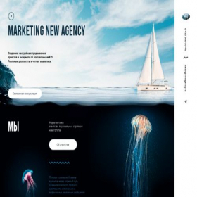 Скриншот главной страницы сайта mnagency.ru