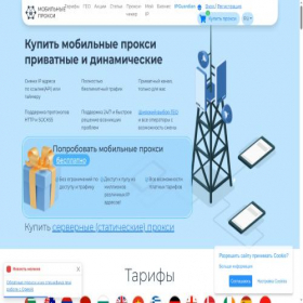 Скриншот главной страницы сайта mobileproxy.space