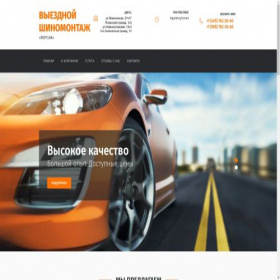 Скриншот главной страницы сайта mobiletyreservice.ru