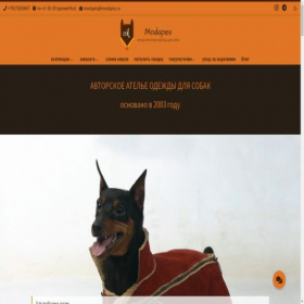 Скриншот главной страницы сайта modapes.ru