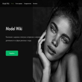 Скриншот главной страницы сайта modelwik.ru