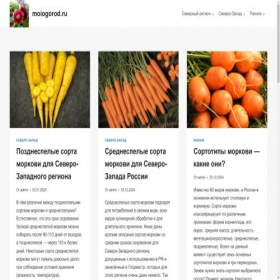 Скриншот главной страницы сайта moiogorod.ru