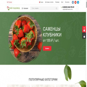 Скриншот главной страницы сайта moisadovod.ru