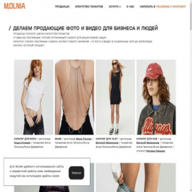 Скриншот главной страницы сайта molnia.pro