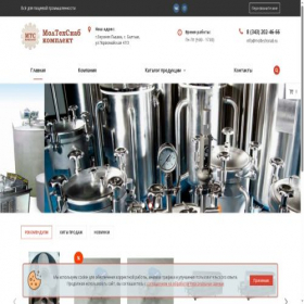 Скриншот главной страницы сайта moltechsnab.ru