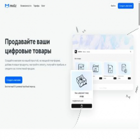 Скриншот главной страницы сайта molz.io