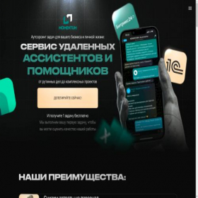 Скриншот главной страницы сайта momentum-assist.ru