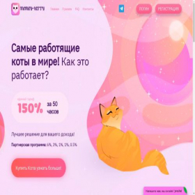Скриншот главной страницы сайта money-kitty.life